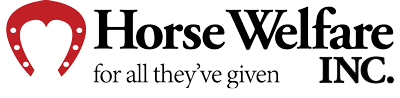 Horse rescue, horse rehabilitation, horse education