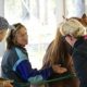 Equine Intuition Business Launch - Equine Therapy
